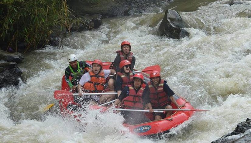 Galeri Keseruan Rafting (15)