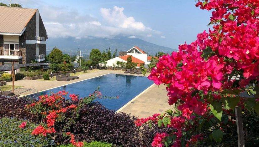 Wisata Alam & Adventure Terbaik di Bogor: Pancawati, Cisadane, hingga Curug Cikaracak